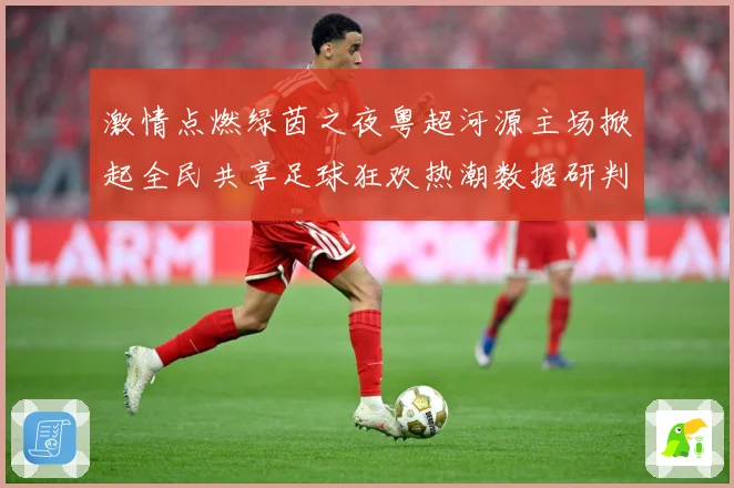 激情点燃绿茵之夜粤超河源主场掀起全民共享足球狂欢热潮数据研判-深度解析